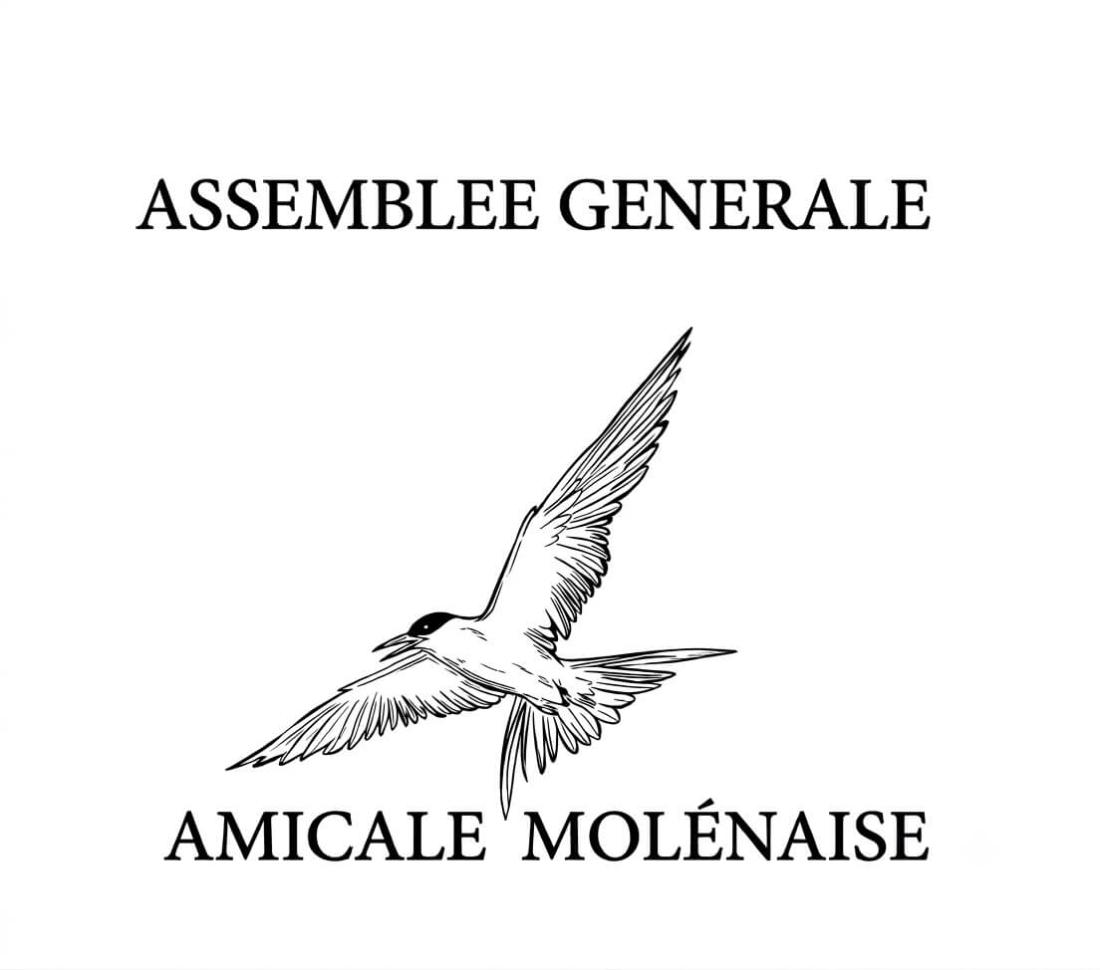 Assemblée Générale 2024