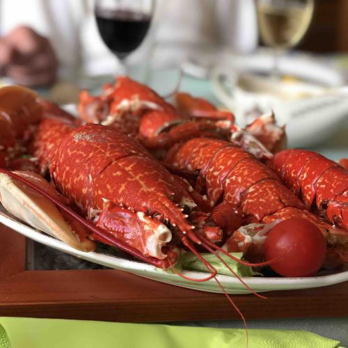 Cuisine - (c) Amicale Molénaise - Crédit Photo MaPageSurLaToile by Cymadiau