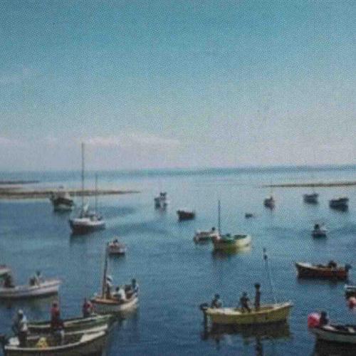 Concours de pêche - (c) Amicale Molénaise - Crédit photo molene.fr Tous droits réservés - Reproduction interdite