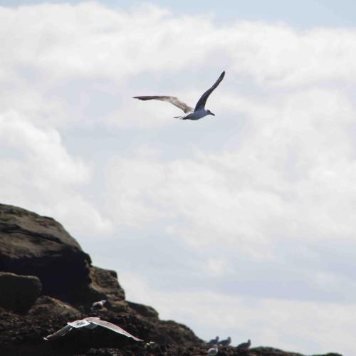 (c) Amicale Molénaise - Crédit Photo MaPageSurLaToile by Cymadiau